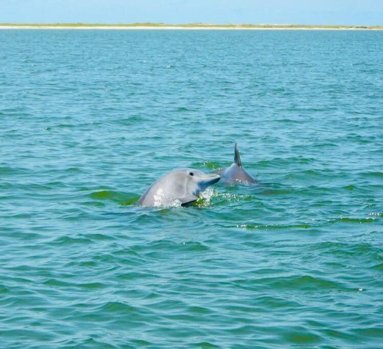 Pet Friendly Tranquil Cottage With Fire-Pit And Seasonal Hot Tub Sept-March Minutes To Beaches Dauphin Island Exterior foto